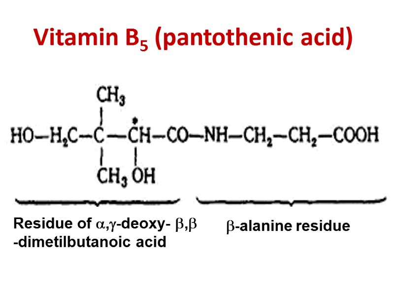 Vitamin B5 (pantothenic acid) Residue of ,-deoxy- , -dimetilbutanoic acid -alanine residue